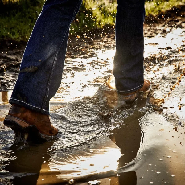ariat Anthem Round Toe Lacer vanntette støvletter for damer* Ridebukser