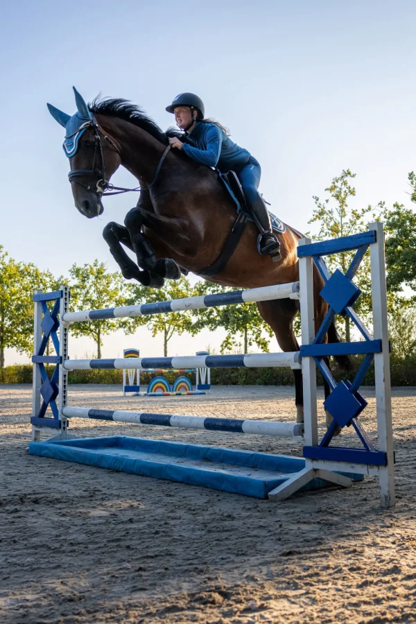 bvertigo B Vertigo Darcey fleece ridejakke* Gensere & Fleece | Jakker Og Frakker