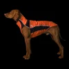 backontrack Back on Track Eddie High-Visibility genser, 40-45 cm* Hundeklær Og Hundedekken