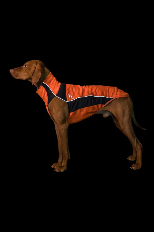 backontrack Back on Track Eddie High-Visibility genser, 40-45 cm* Hundeklær Og Hundedekken