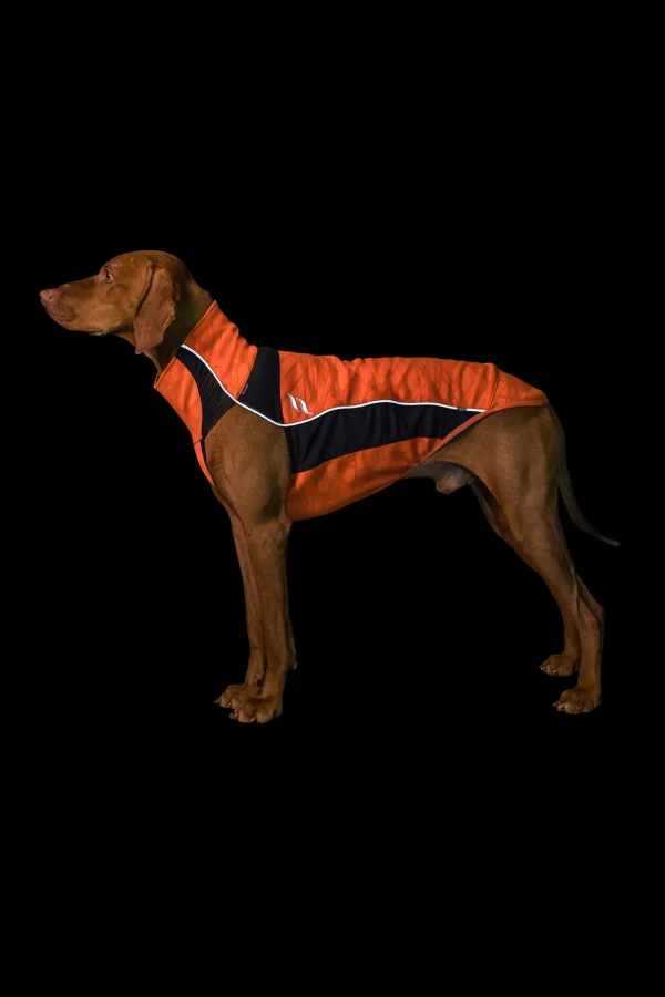 backontrack Back on Track Eddie Petite High-Visibility genser, 30-35 cm* Hundeklær Og Hundedekken