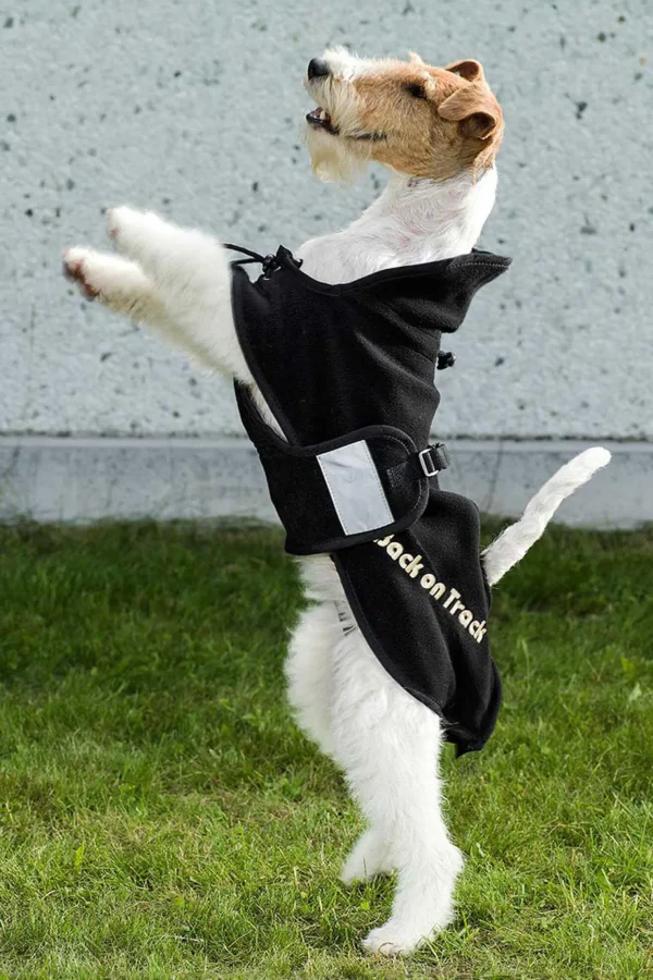 backontrack Back on Track hundedekken i fleece, 59-74* Hundeklær Og Hundedekken