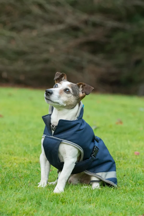 bucas Freedom Hundedekken, 50g (30-45 cm)* Hundeklær Og Hundedekken