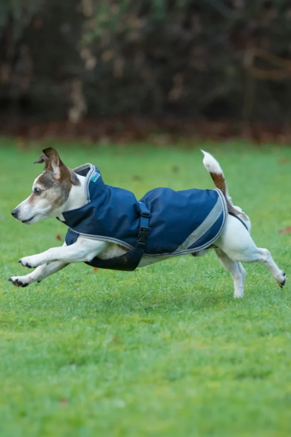 bucas Freedom Hundedekken, 50g (30-45 cm)* Hundeklær Og Hundedekken