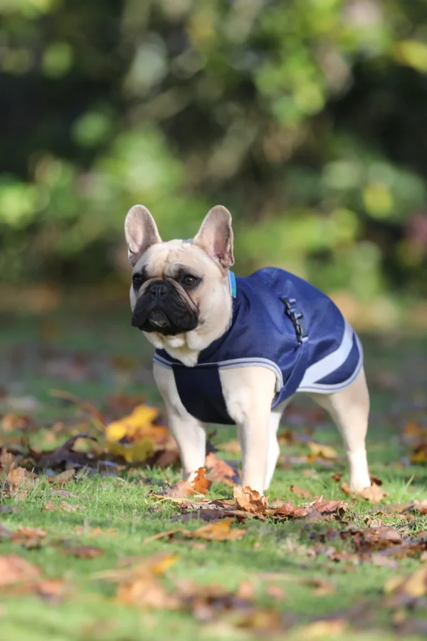 bucas Freedom Hundedekken, 50g (30-45 cm)* Hundeklær Og Hundedekken