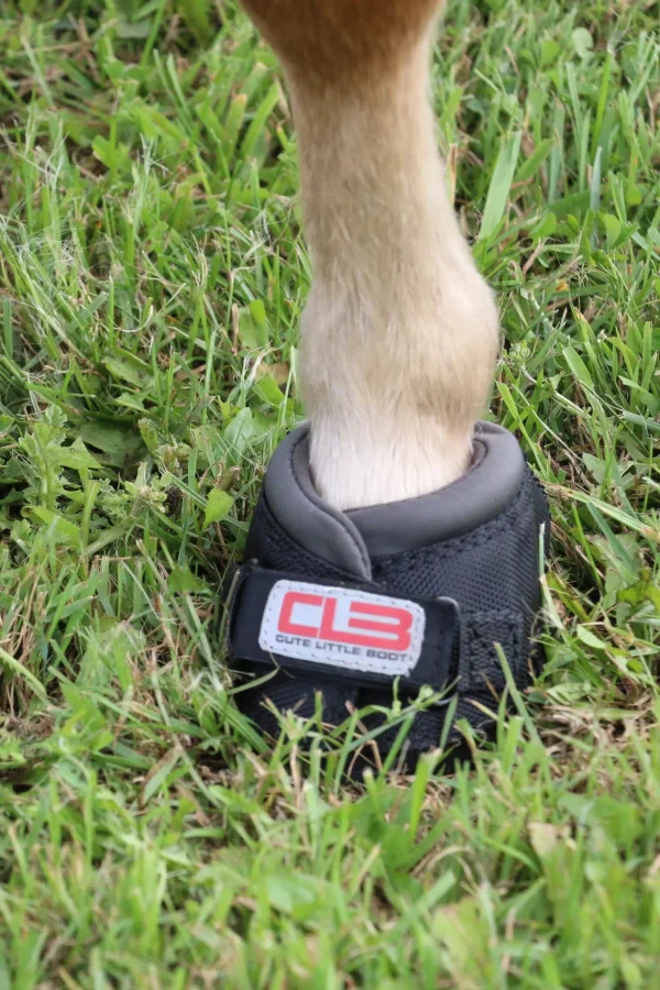 cavallohorseriderfr Cavallo Hoof Boots F.R.A. CLB boots (vanlig/par)* Boots Til Hest