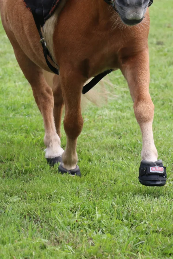 cavallohorseriderfr Cavallo Hoof Boots F.R.A. CLB boots (vanlig/par)* Boots Til Hest
