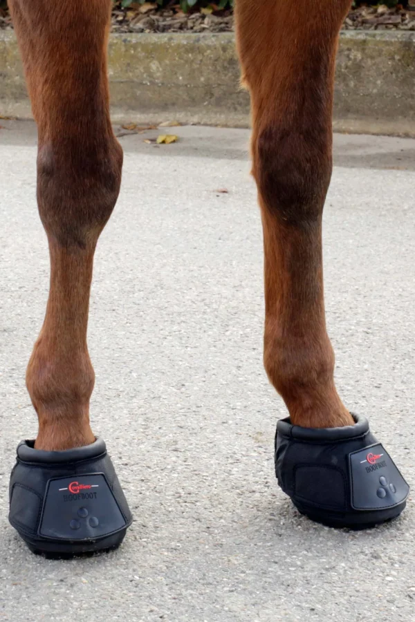 covalliero hovsko (1 stk)* Boots Til Hest