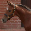 covalliero TopLine føllgrime* Grimer