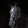 covalliero TopLine grime* Grimer