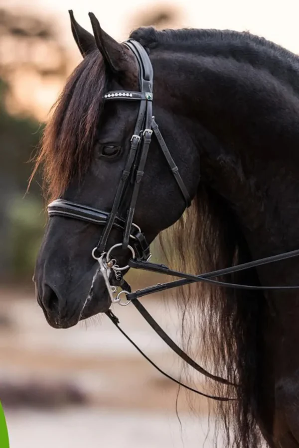 cowboymagic Cowboy Magic Detangler & Shine邃* Stell Pels, Hud Og Man