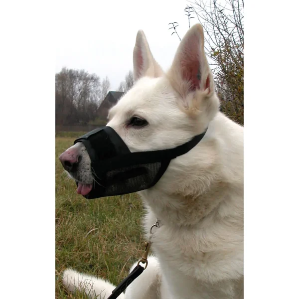 dogman munnkurv, nylon* Treningsprodukter Til Hund