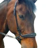 fra F.R.A. Freedom Riding Articles Lami bitless bridle (system 4) med tøyler og krokfeste* Hodelag & Nesereimer