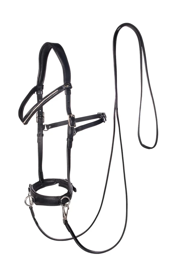 fra F.R.A. Freedom Riding Articles Wendy B kapsun, bitless bridle, lærtøyler med klips* Hjelpetøyler Og Longeringssystemer | Hjelpetøyler Og Longeringssystemer