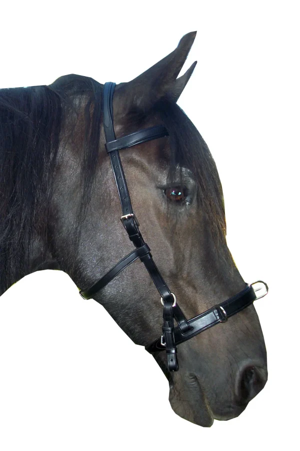 fra F.R.A. Freedom Riding Articles Baro kapsun, lær (shire)* Kapsun | Kapsun