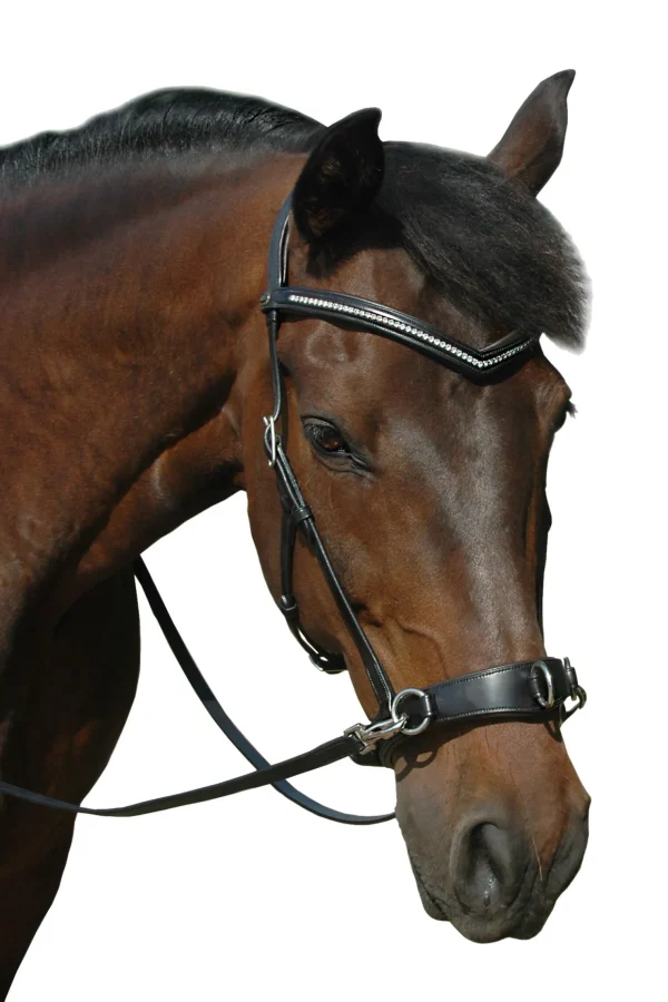 fra F.R.A. Freedom Riding Articles Wendy B kapsun, bitless bridle, lærtøyler med klips* Hjelpetøyler Og Longeringssystemer | Hjelpetøyler Og Longeringssystemer