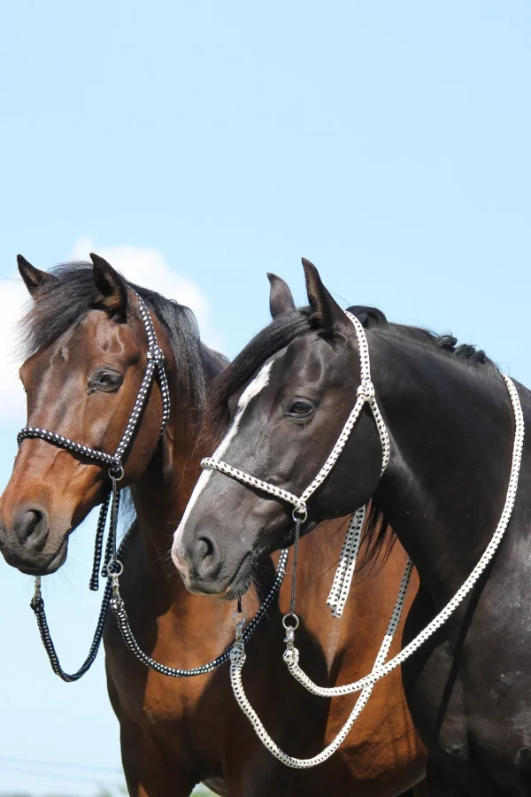 fra F.R.A. Freedom Riding Articles Nanouk bitless bridle (system 4) bomull med klipstøyler* Hodelag & Nesereimer