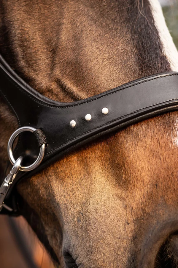 fra F.R.A. Freedom Riding Articles Glory sidepull med tøyler (system 3), svart* Hodelag & Nesereimer