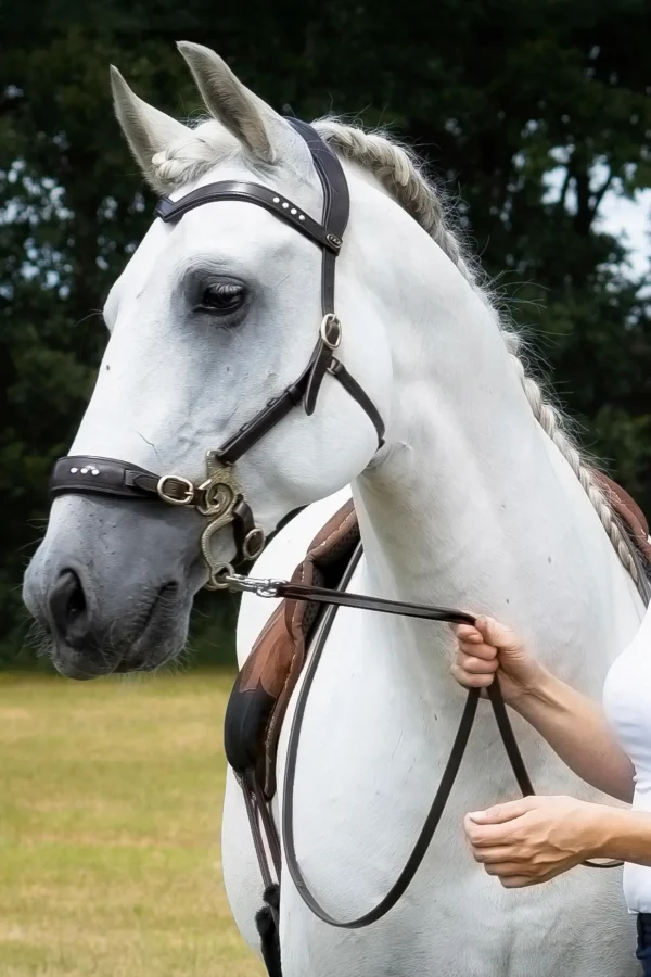 fra F.R.A. Freedom Riding Articles Glory hodelag Hackamore med tøyler (system 2), brun* Hackamores | Hodelag & Nesereimer