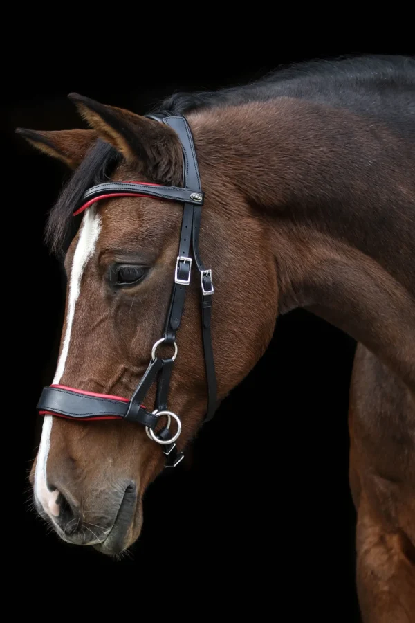 fra F.R.A. Freedom Riding Articles Aruba bittløst hodelag med tøyler (system 3)* Hodelag & Nesereimer