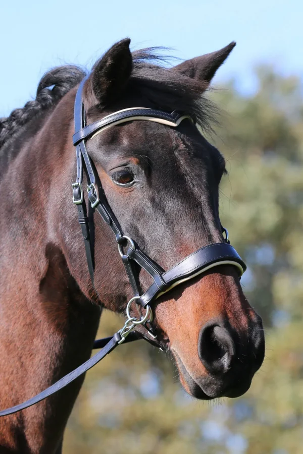 fra F.R.A. Freedom Riding Articles Aruba bittløst hodelag med tøyler (system 3)* Hodelag & Nesereimer
