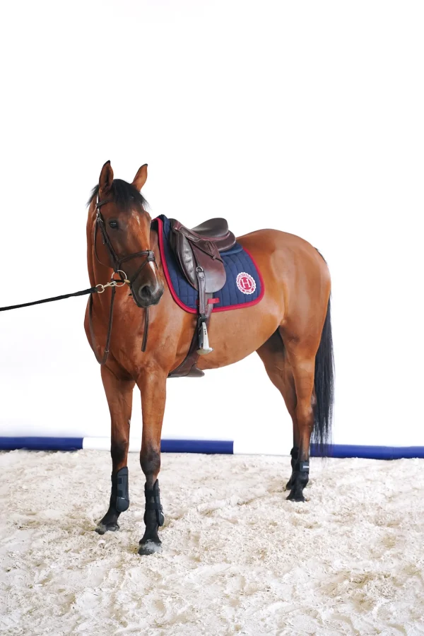 harcour Safine dressurseterunderlag* Dressursjabraker