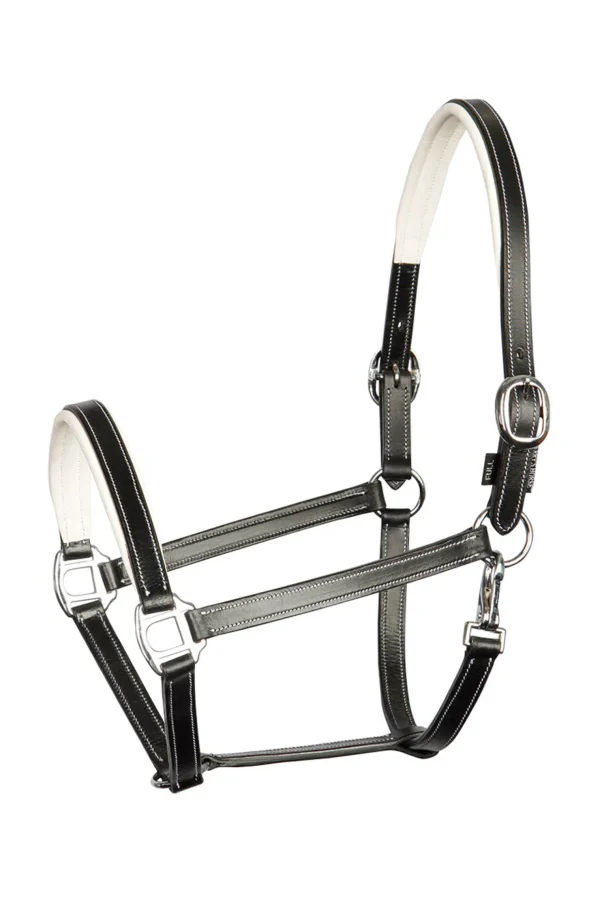 harryshorse Harry* Grimer