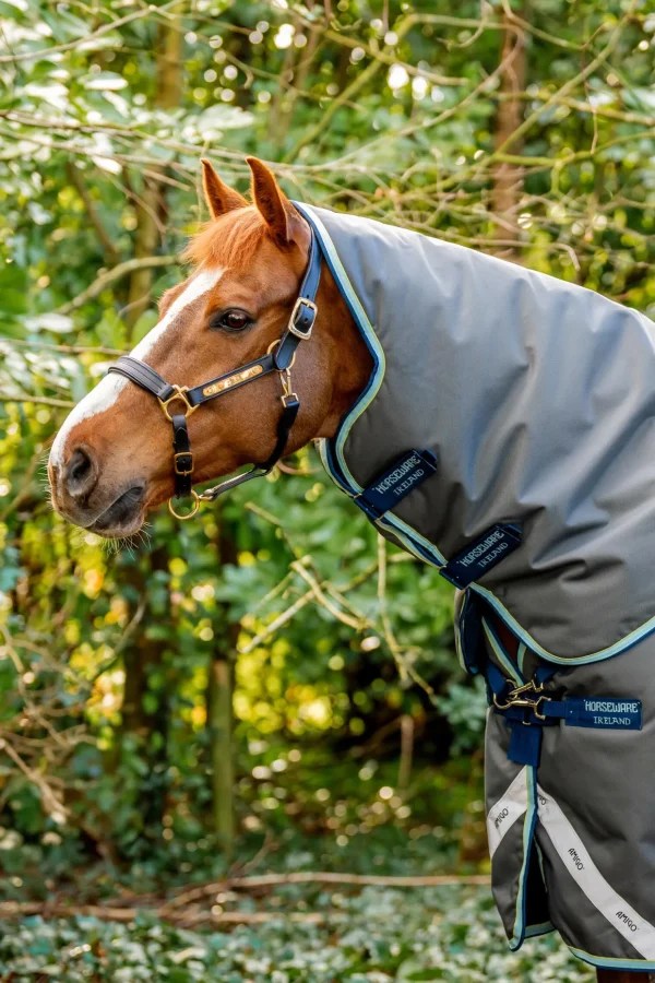 horseware Amigo Bravo 12 Plus utedekken med avtakbar hals, 400g* Overgangsdekken & Vinterdekken