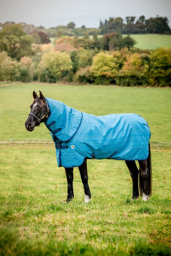 horseware Amigo Hero 900 Revive Plus utedekken med avtakbar hals, 50 gram* Regndekken
