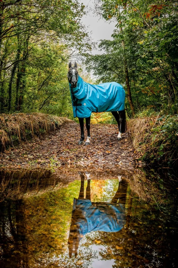 horseware Amigo Hero 900 Revive Plus utedekken med avtakbar hals, 50 gram* Regndekken