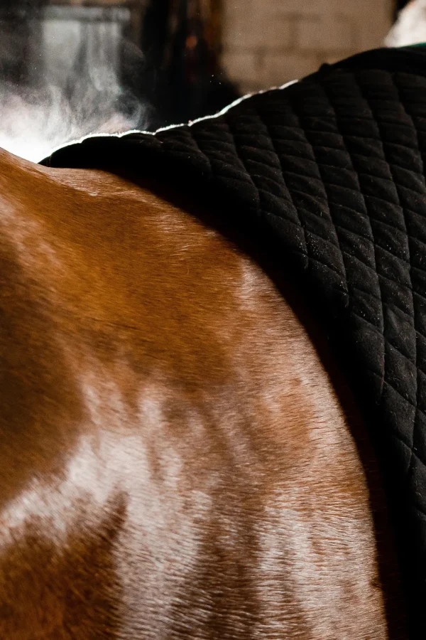 horseware Autumn cooler* Ulldekken Og Svettedekken