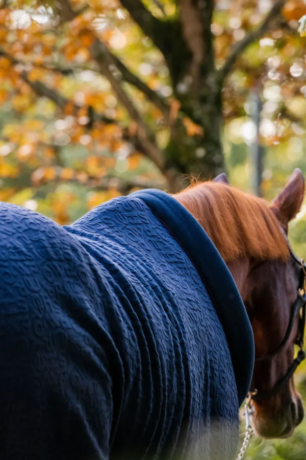 horseware dekorert cosy neck cooler* Ulldekken Og Svettedekken