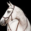 horseware Micklem 2 Competition hodelag* Ponni Hodelag Og Grimer | Hodelag & Nesereimer