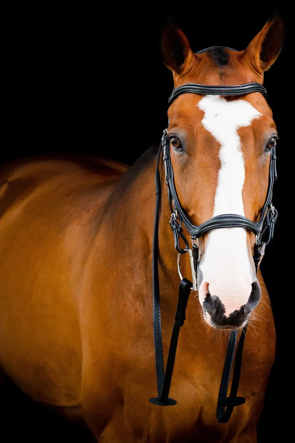 horseware Micklem 2 Deluxe Competition Hodelag* Ponni Hodelag Og Grimer | Hodelag & Nesereimer