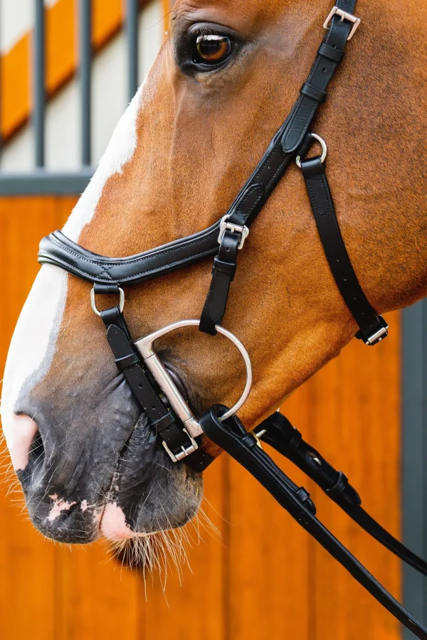 horseware Micklem 2 Deluxe Competition Hodelag* Ponni Hodelag Og Grimer | Hodelag & Nesereimer