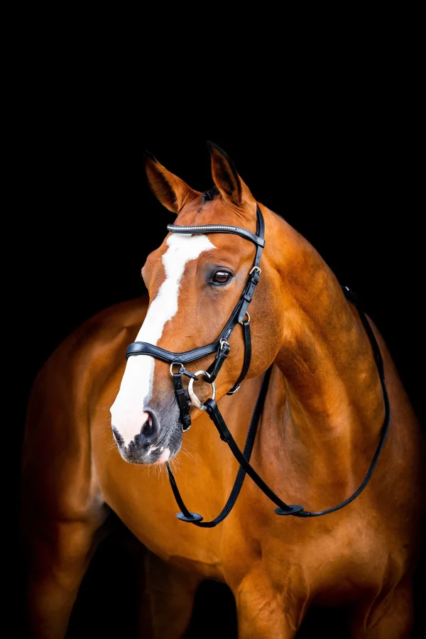 horseware Micklem 2 Diamante Competition Hodelag* Ponni Hodelag Og Grimer | Hodelag & Nesereimer