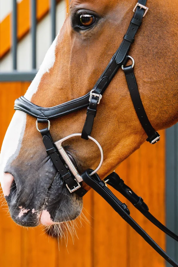 horseware Micklem 2 Diamante Competition Hodelag* Ponni Hodelag Og Grimer | Hodelag & Nesereimer