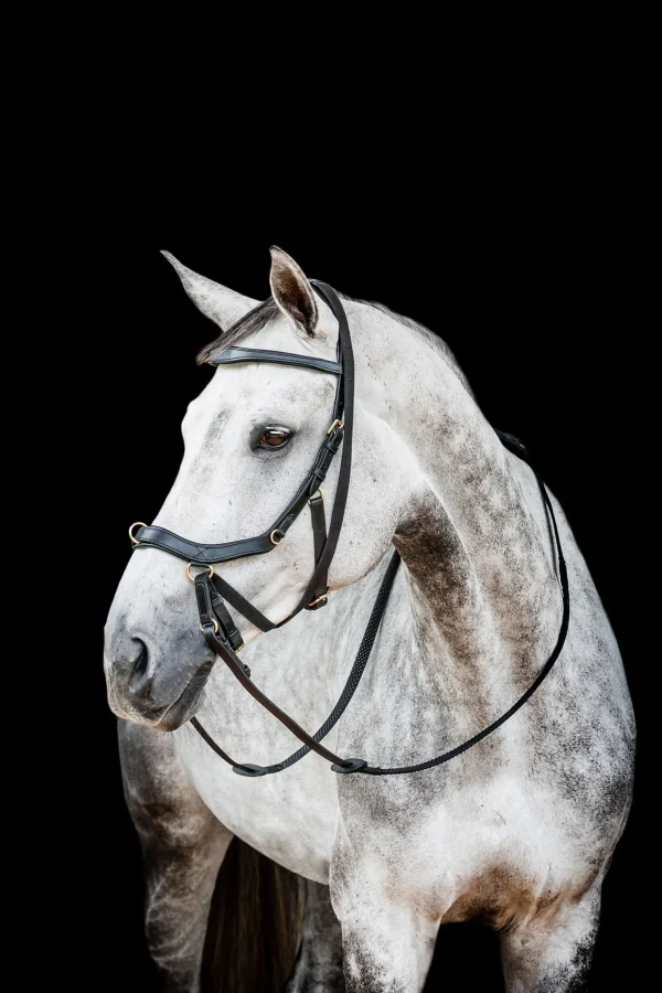 horseware Micklem 2 Multi Hodelag* Ponni Hodelag Og Grimer | Hodelag & Nesereimer
