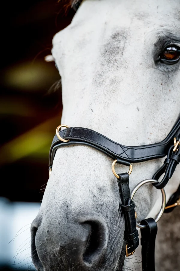 horseware Micklem 2 Multi Hodelag* Ponni Hodelag Og Grimer | Hodelag & Nesereimer