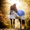 horseware Rambo Autumn Series utedekken med underdekken (0 g / 100 g)* Regndekken