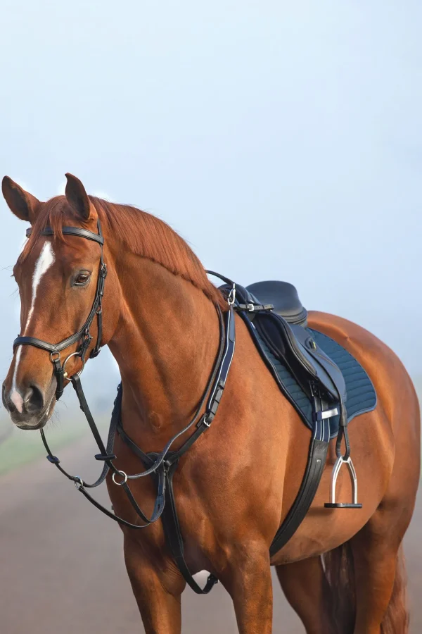 horseware Rambo Micklem fortøy* Fortøy