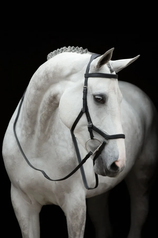 horseware Rambo Micklem stevnehodelag* Hodelag & Nesereimer
