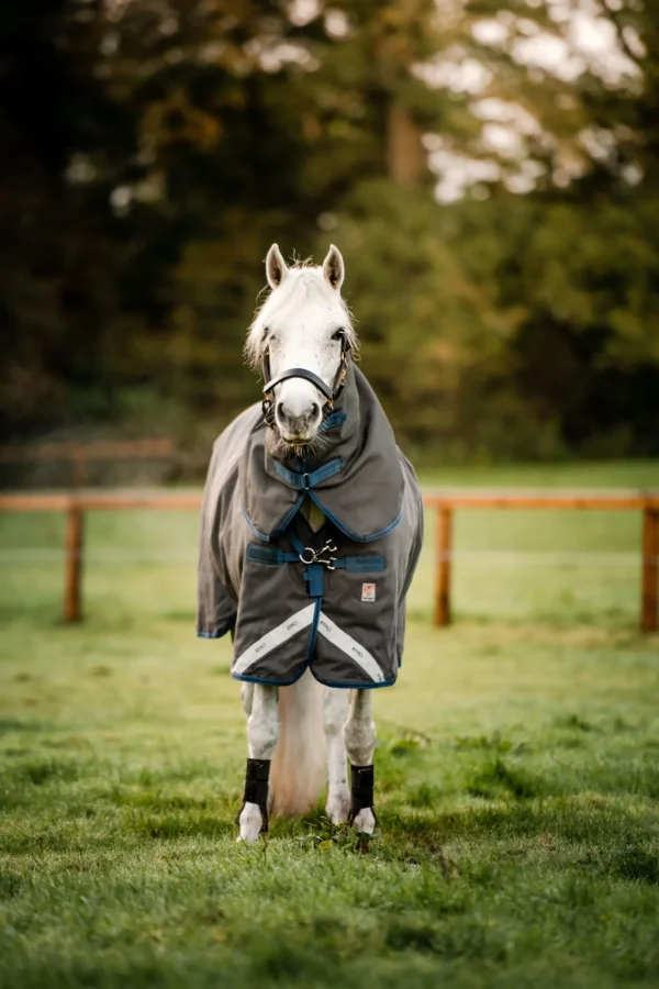 horseware Rhino Hexstop Plus Vari-Layer utedekken, 250 gram* Overgangsdekken & Vinterdekken | Regndekken