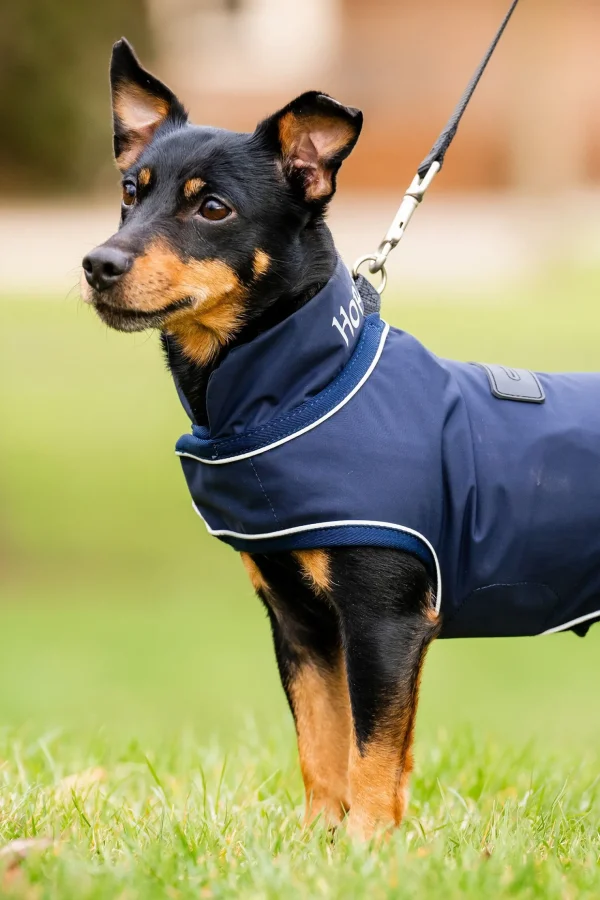 horseware Signature Hunderegnfrakk* Hundeklær Og Hundedekken