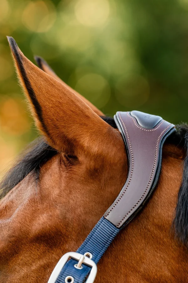 horseware Signature Show Halter* Grimer