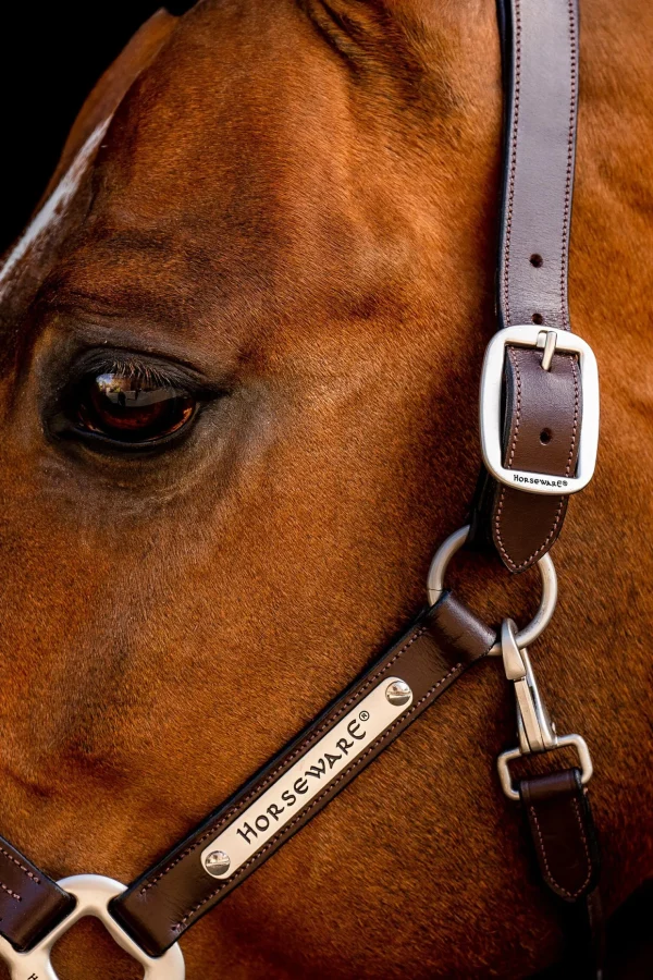 horseware Signature-grime i lær* Lærgrimer