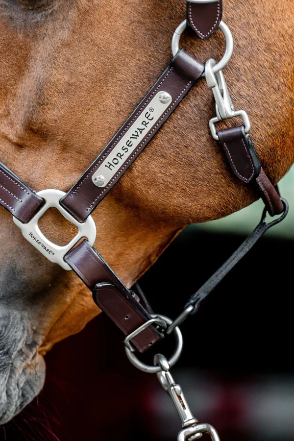 horseware Signature-grime i lær* Lærgrimer