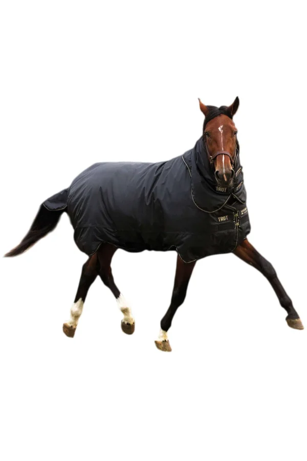 horseware Trot Plus Utedekken med avtagbart halsstykke, 350g* Overgangsdekken & Vinterdekken