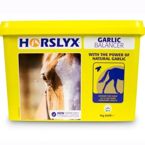 horslyx Garlic, 5kg* Saltsteiner