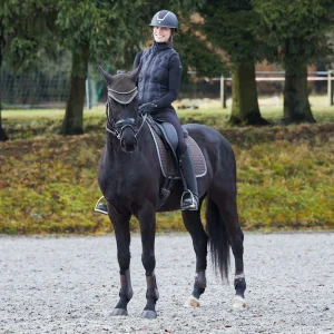 horze Adepto allround sjabrak* Ponni Sjabrak | Allround- Og Sprangsjabraker